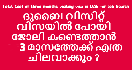 3-month-visiting-visa-cost