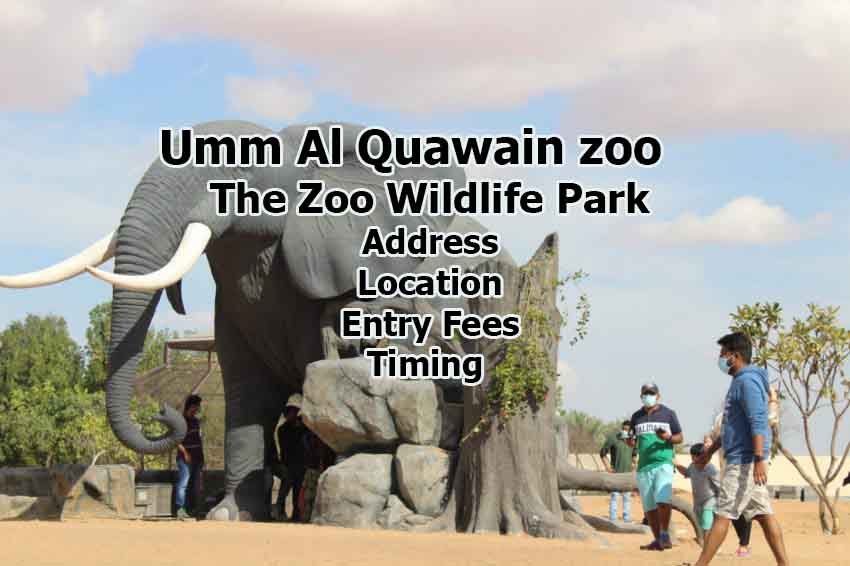 umm-ul-qwain-zoo-details