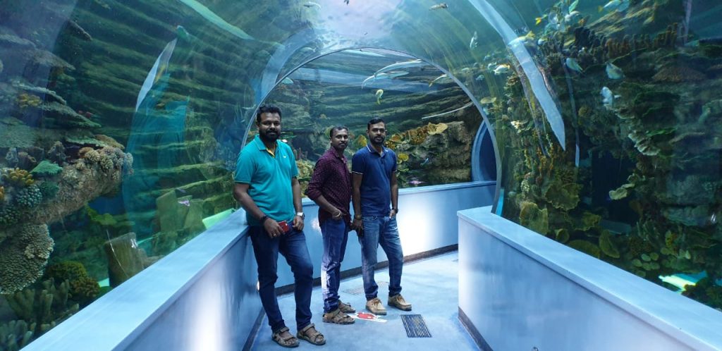 Sharjah Aquarium ticket price