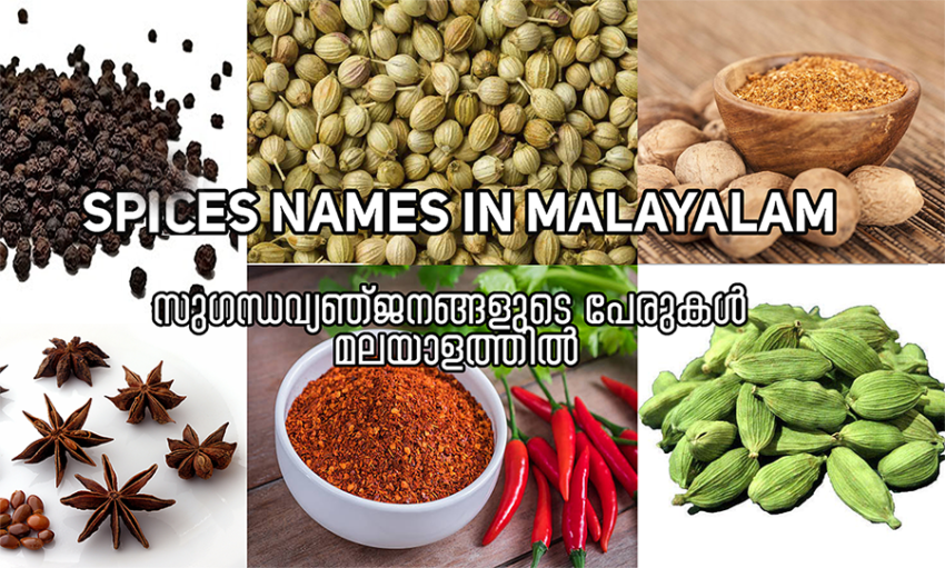 Spices Names in Malayalam and English