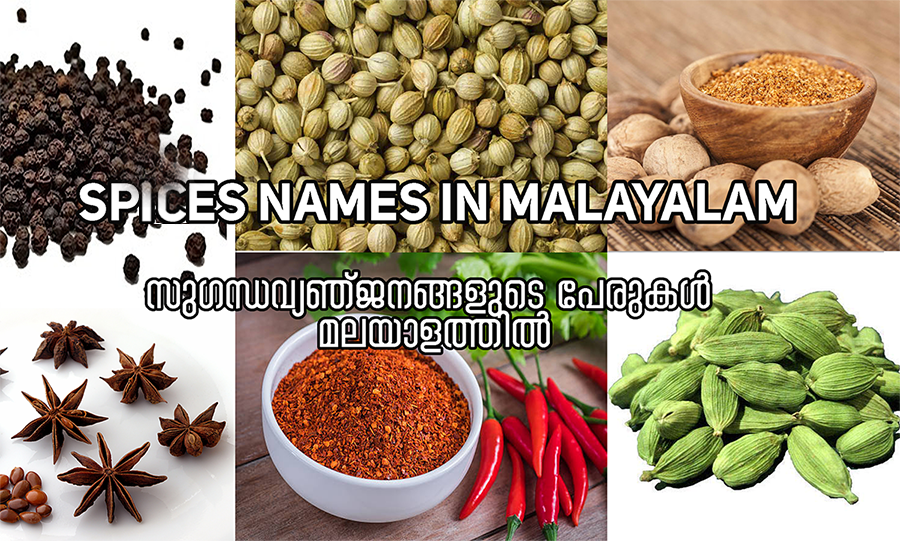 Spices Names In Malayalam And English With Images